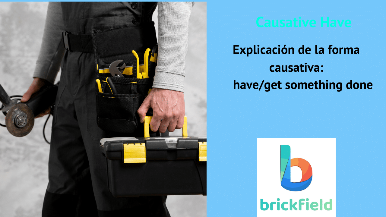 Profesional de reparaciones con maletín de herramientas para academia de inglés en Burriana Castelló