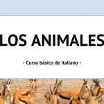 LOS ANIMALES.- Lecciones de italiano